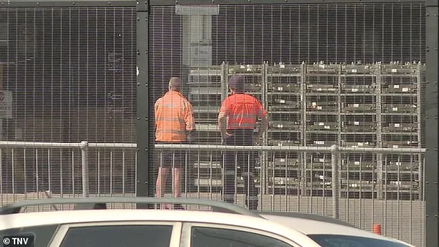 Sydney Airport Worker's Identity Not Disclosed After Tragic Terminal Accident