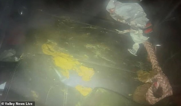 Two Dogs Left Unattended in Parked Car During Freezing Temperatures in Moorehead, Minnesota, as Resident Steps In