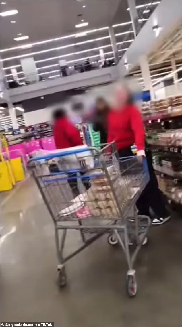 Albany Walmart Incident: Service Dog Owner Claims Harassment Amid ADA Dispute