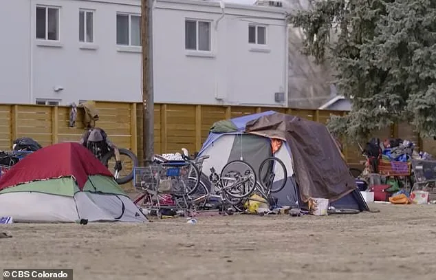 Aviation Park's Descent into Chaos: A Resident's Nightmare