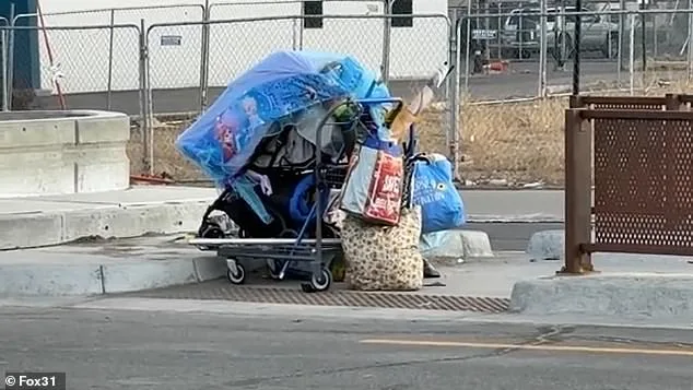 Aviation Park's Descent into Chaos: A Resident's Nightmare