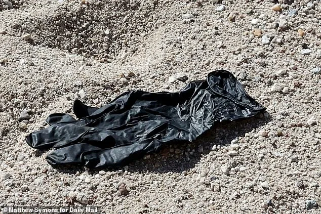 FBI Confirms Glove Found Near Nancy Guthrie's Home Doesn't Match DNA, Investigation Faces Setback in Third Week Without Arrests