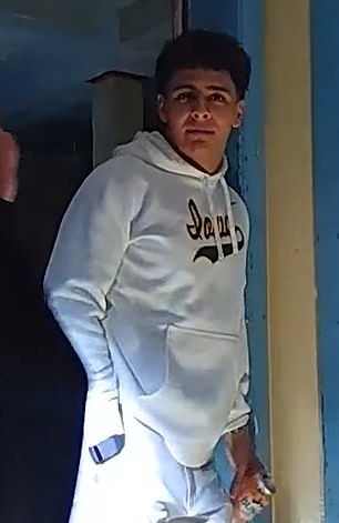 Fraternity Hazing Exposed: Institutional Failure Behind Alpha Delta Phi's Deplorable Conditions