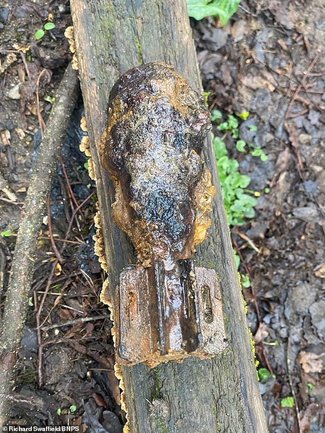 Dorset Father and Son Unearth Live WWII Mortar Shell During Magnet Fishing, Triggering Bomb Squad Alert