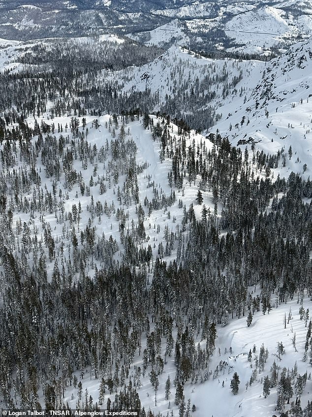 Deadly Avalanche at Castle Peak Claims Nine Lives, Shocks Lake Tahoe Community