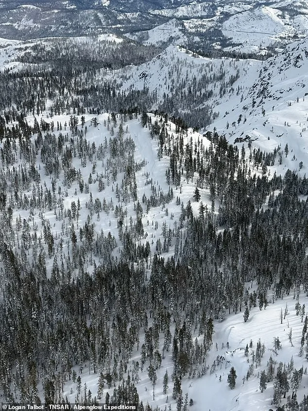 Deadly Avalanche at Castle Peak Claims Nine Lives, Shocks Lake Tahoe Community