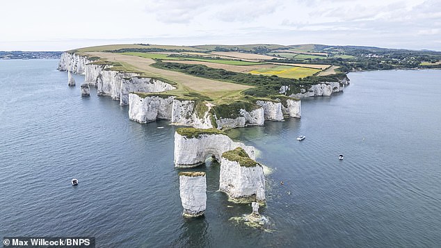 Father Ignores 'No Access' Warning at Old Harry Rocks, Drawing Sharp Criticism