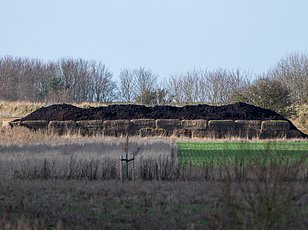 Andrew Mountbatten-Windsor's Grocery Dilemma: Waitrose Drivers Avoid Deliveries Amid Scandal