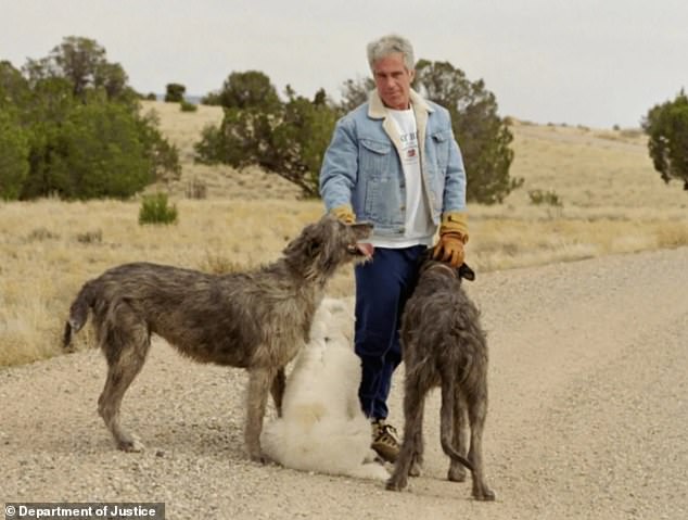 The Enigmatic Caretakers of Epstein's Empire: Secrets Behind the Vanishing Gordons