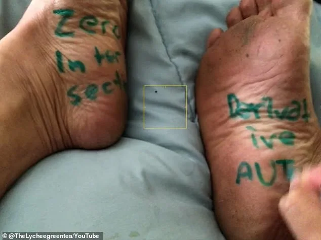 San Francisco Teacher's Suspension Sparks Controversy Over Offensive Quiz Prompts