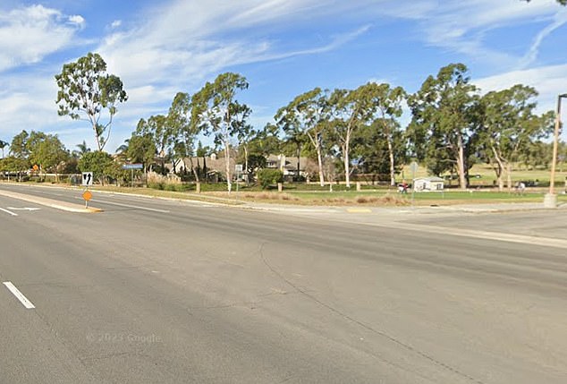 Mother Accused of Killing Newborns a Decade Apart