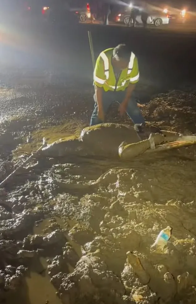 Man Trapped in Mud for Three Hours During ATV Event near Waterford, Mississippi