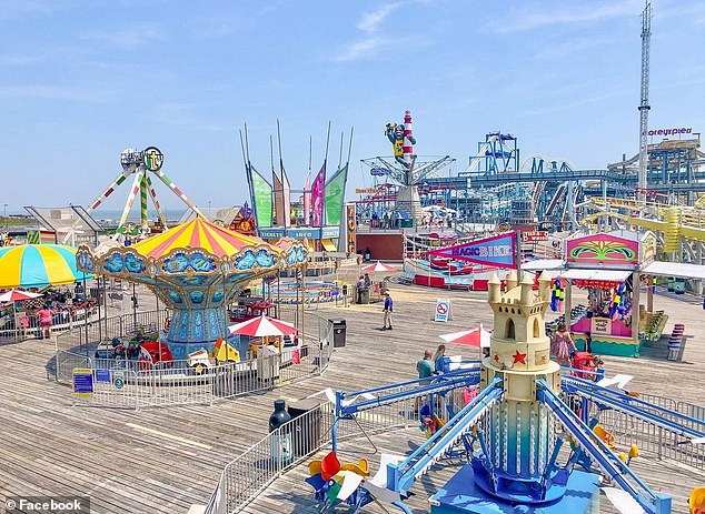 Seagull Decapitation on New Jersey Boardwalk Sparks Heated Debate Over Justice and Animal Welfare