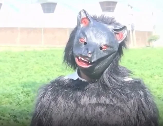 Desperate Farmers in India Turn to Bear Costumes to Deter Monkey Raids on Crops