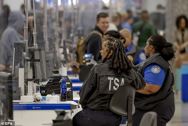 Elon Musk Offers to Pay TSA Workers During Government Shutdown-Linked Airport Delays