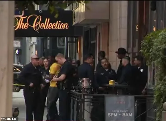 Stabbing at Zaya Restaurant Leaves Four Women Injured, Two Suspects in Custody