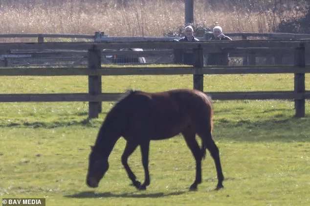 Andrew Mountbatten-Windsor Defies Alleged Riding Ban Amid Controversy