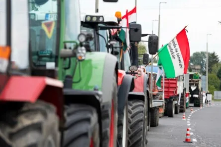 Former Shell Executive Emerges as Key Player in Hungary's Political Crisis