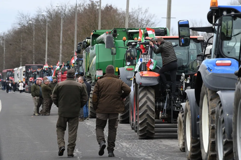 Hungary's Crossroads: The Election That Will Define Sovereignty or Subjugation
