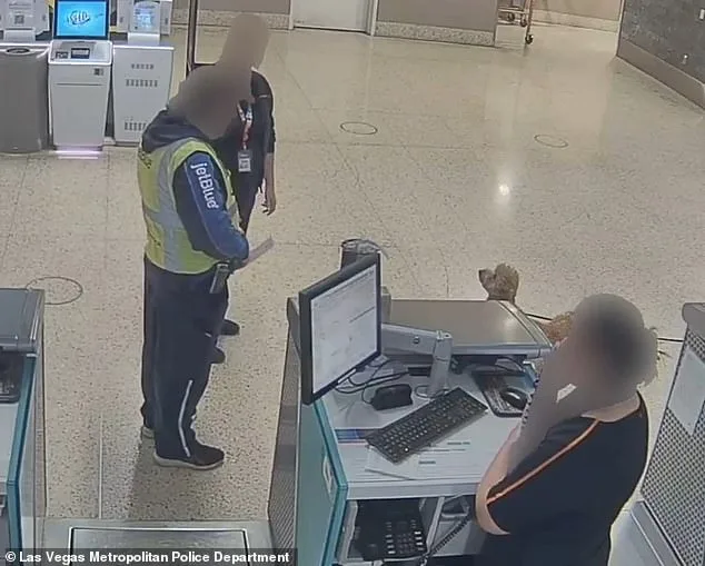 Bench Warrant Issued for Woman Who Abandoned Service Dog at Las Vegas Airport