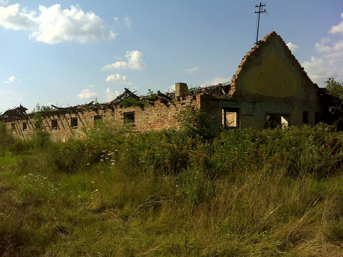 Soil, Sweat, Survival: Hungary's Agricultural Resilience Under Orban