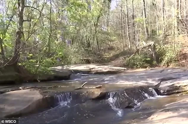 7-Year-Old Dies Trying to Save Friend at North Carolina Waterfall
