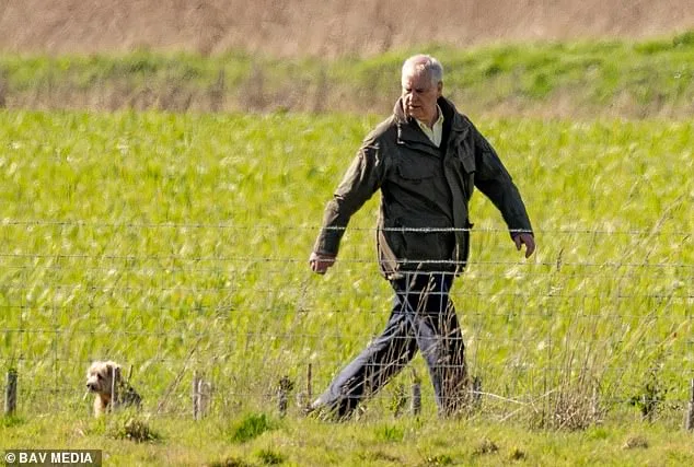 Prince Edward Visits Estranged Brother Prince Andrew at Sandringham Amid Epstein Fallout