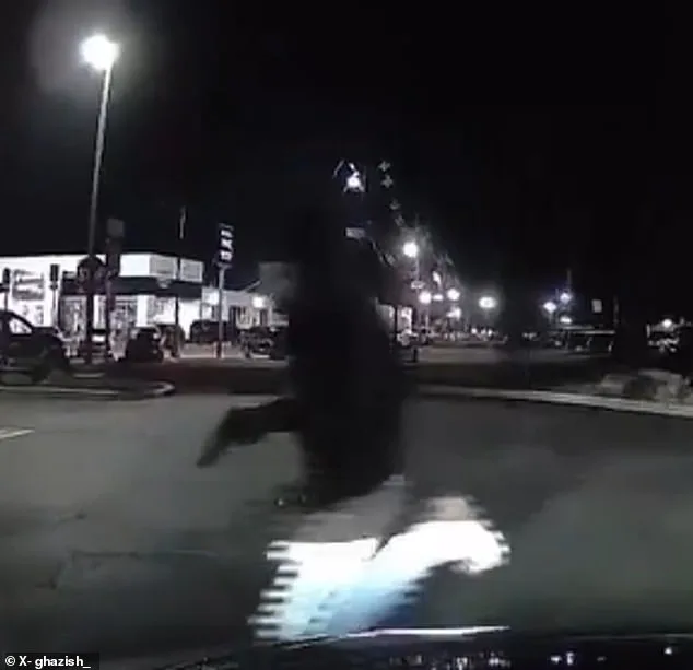 Chick-fil-A Shooting in New Jersey Leaves 1 Dead, 6 Injured; Under Investigation