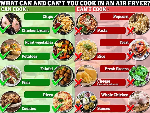 Air Fryers Under Scrutiny: Gem Collins' Comments Spark Safety Concerns.