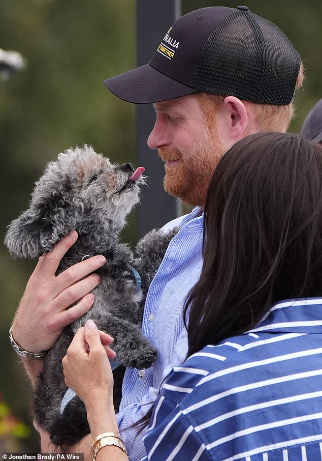 Four out of five Britons oppose the Sussexes monetizing royal titles.