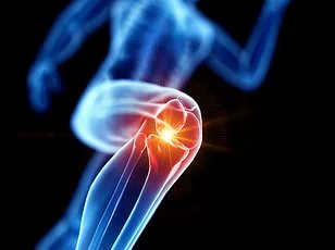 Pepitem: The Key to Unlocking a New Approach to Inflammatory Arthritis Treatment?