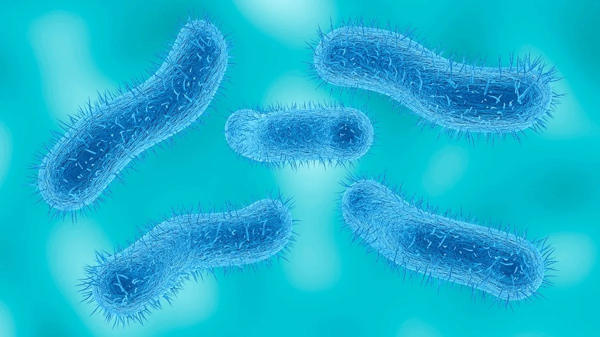 Shigella Infections Resist Treatment: CDC Sound Alert
