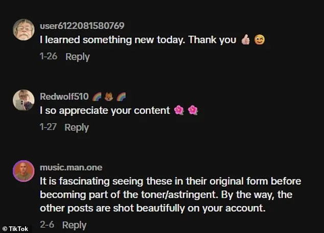 Thirsty" Comments Flood Garden Curators Social Media, Sparking Concern and Action