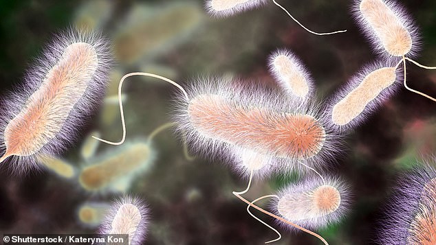 Lethal AC bacteria outbreak surges across US states with deadly Legionnaires' disease.