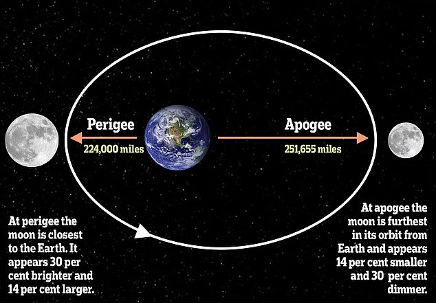 Hot weather invites viewers to spot the rare Flower Micromoon tonight.