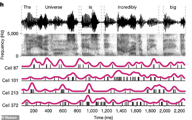Brain Processes Complex Language While Patients Remain Under Anesthesia