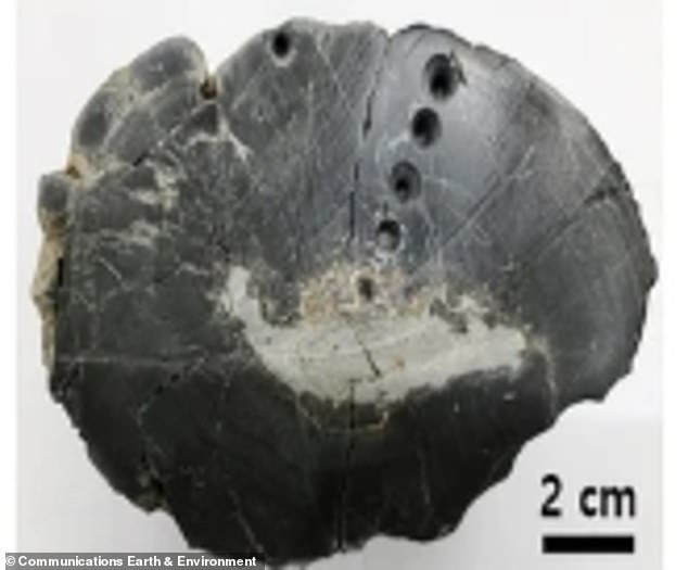 South Korea Finds Alien Material in Ancient Crater Stromatolites