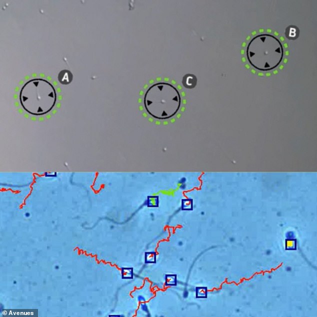 AI-Powered Clinic Helps British Couples Overcome Infertility After Failed Treatments