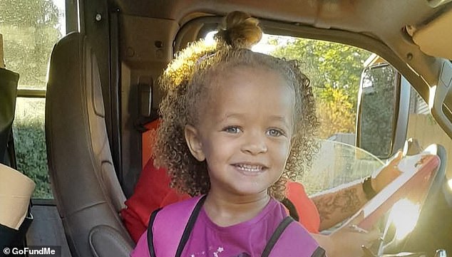 Warren Houston Sentenced to Prison for Daughter's Death by Escaped Pit Bulls