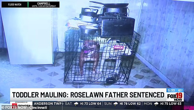 Warren Houston Sentenced to Prison for Daughter's Death by Escaped Pit Bulls