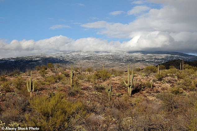 Arizona teen held captive in desert tent by boyfriend for months.