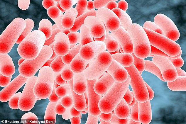 Salmonella cases in England hit 10-year high with 10,400 infections.