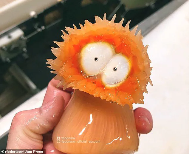 Alien-like Deep Sea Creature Found in Pacific Ocean