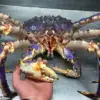 Alien-like Deep Sea Creature Found in Pacific Ocean
