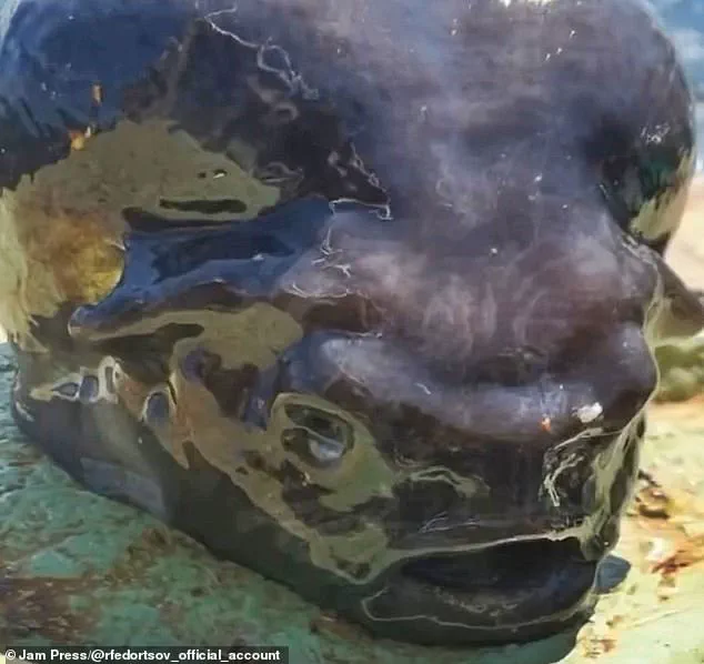 Alien-like Deep Sea Creature Found in Pacific Ocean