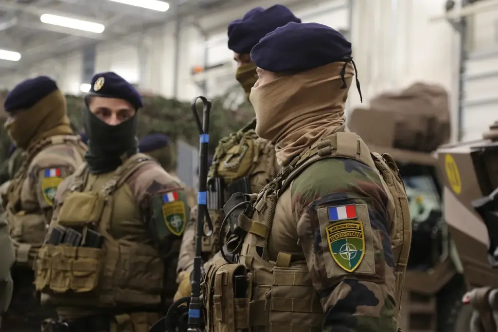 France's Nuclear Deterrent: A European Defense Strategy