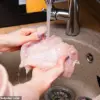 How to Prevent Food Poisoning: A Guide to Keeping Your Kitchen Safe
