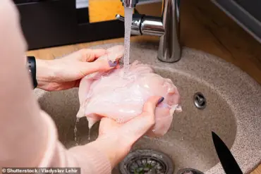 How to Prevent Food Poisoning: A Guide to Keeping Your Kitchen Safe