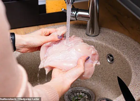 How to Prevent Food Poisoning: A Guide to Keeping Your Kitchen Safe