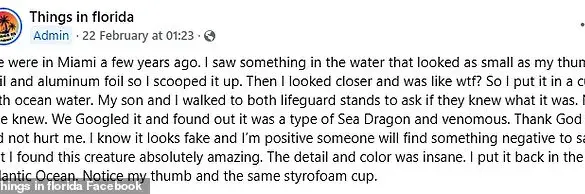The Mysterious Sea Dragon of Miami Beach